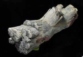 The 'dogbone' fluorapatite