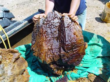 Another large quartz crystal