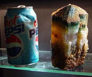 The Pepsi Can