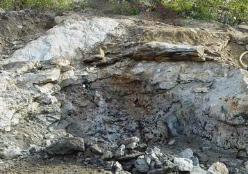 Pocket # 8 shows swelling in the pegmatite